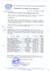 Vista preliminar de documento RESOLUCION-DE-ALCALDIA-N-019-2009-MDCA