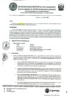 Vista preliminar de documento RESOLUCIÓN DEL ÓRGANO SANCIONADOR N° 174-2022-OS-MPC.pdf