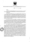 Vista preliminar de documento RDR N° 180.pdf