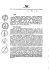 Vista preliminar de documento RDR N° 183.pdf