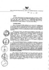Vista preliminar de documento RDR N° 185.pdf