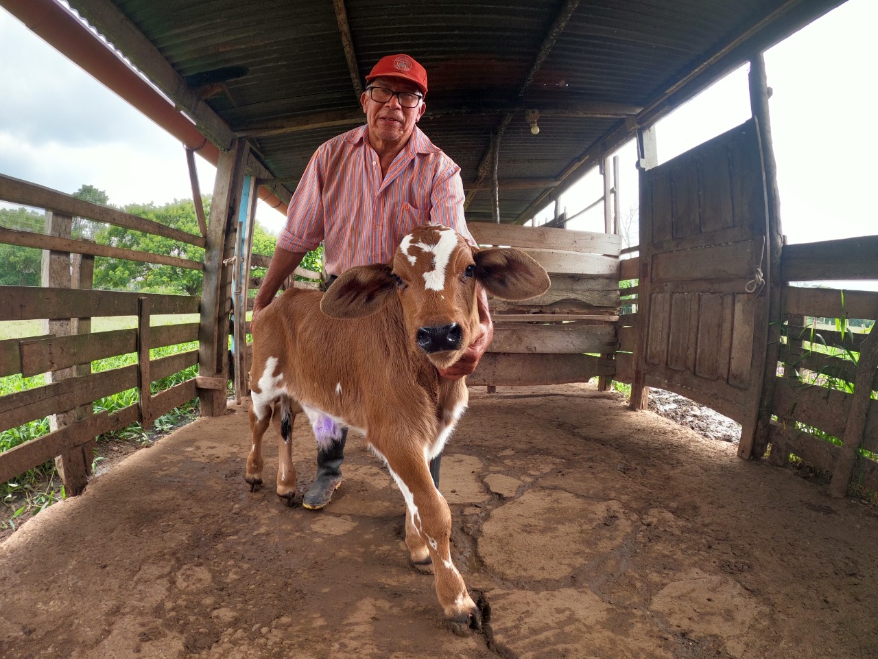 Ganadero beneficiado con innovaciones tecnológicas de la revolución productiva