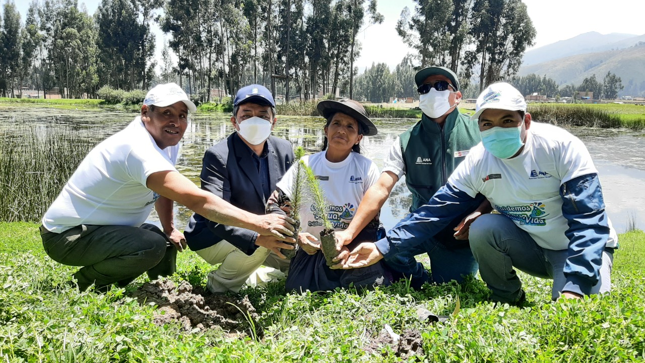 Programa de Electrocentro "Adopta un Árbol"