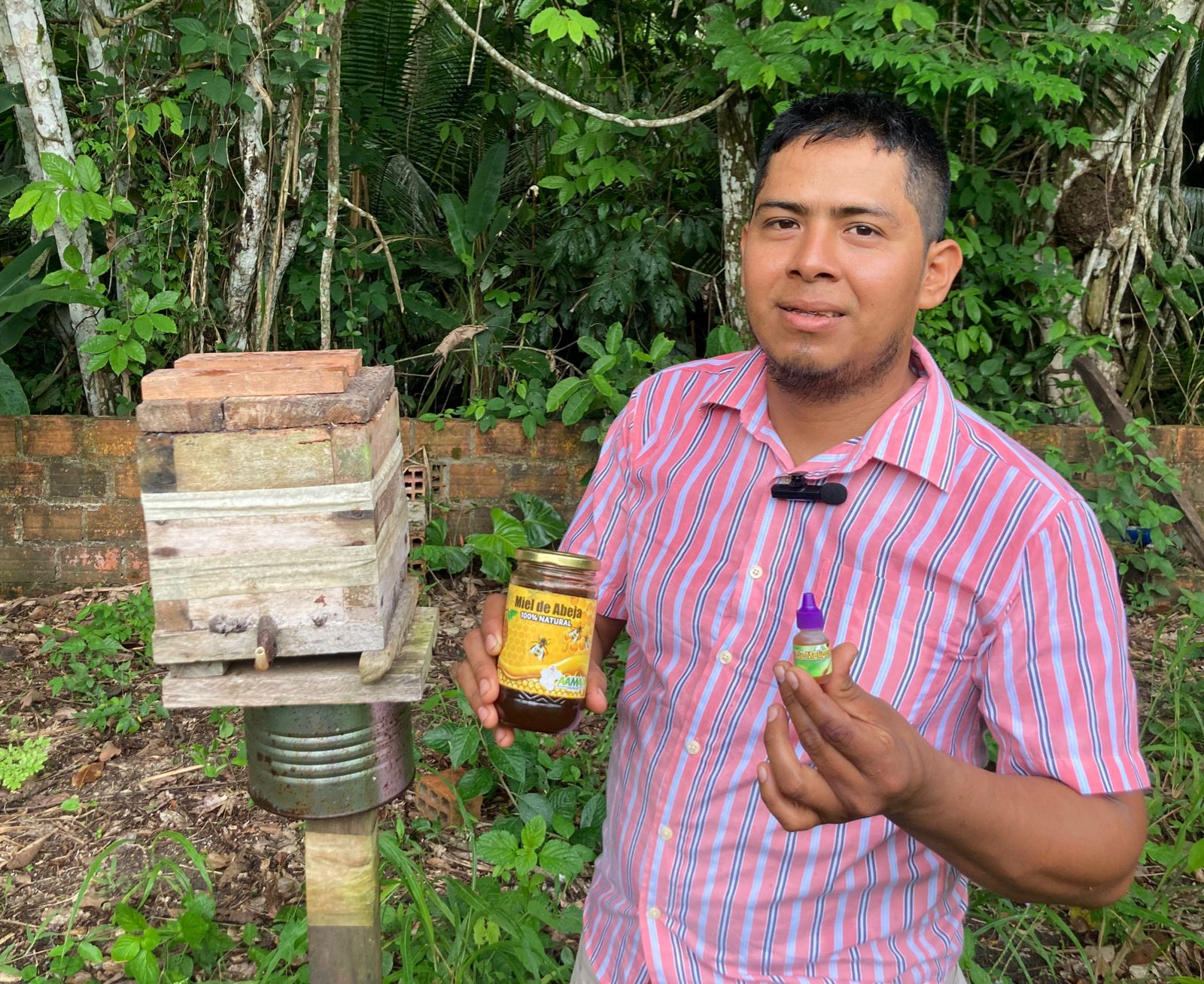 Procompite Implementa Con 25 Mil Abejas Italianas A Asociación De Apicultores Y Meliponicultores En Yurimaguas
