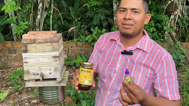 Procompite Implementa Con 25 Mil Abejas Italianas A Asociación De Apicultores Y Meliponicultores En Yurimaguas