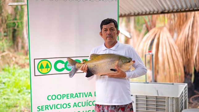 Ucayali