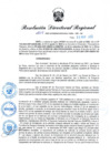 Vista preliminar de documento RDR N° 826-2022