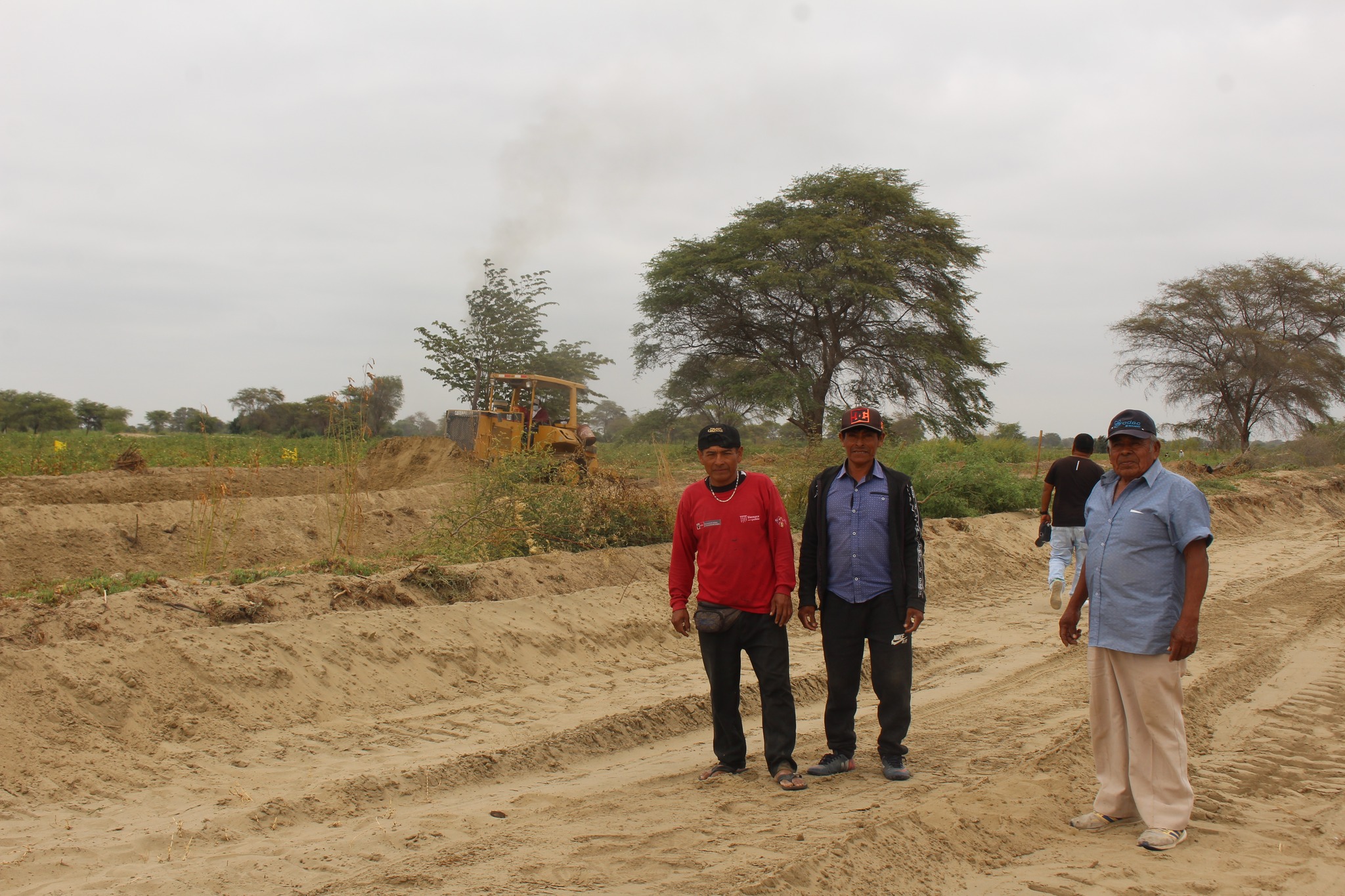 Maquinaria Realiza Trabajos en Terreno Agrícola