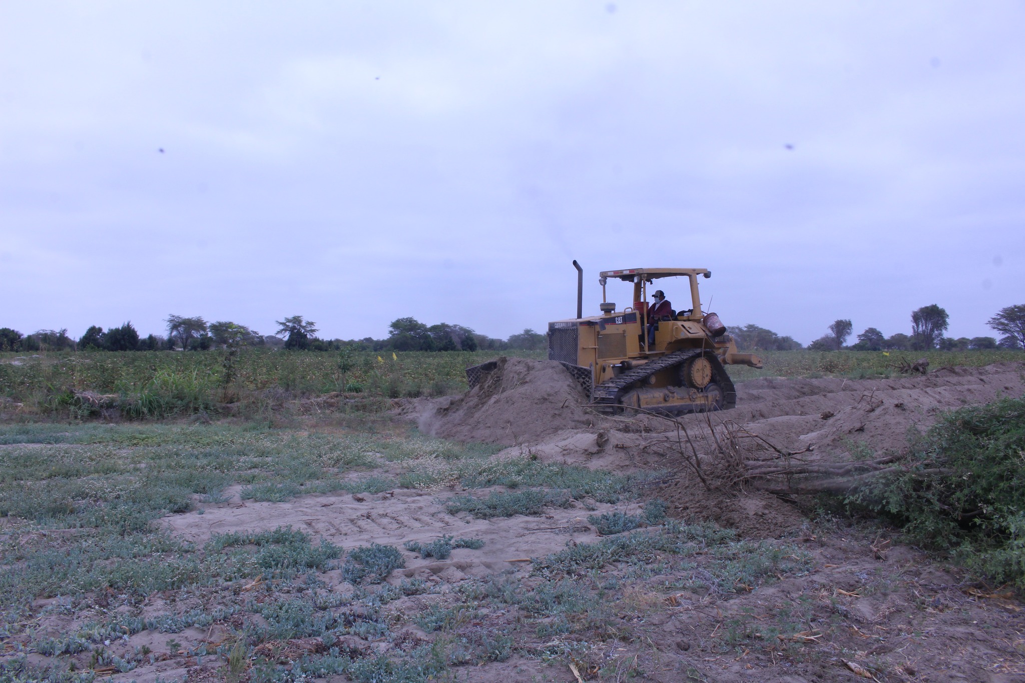 Maquinaria Realiza Trabajos en Terreno Agrícola