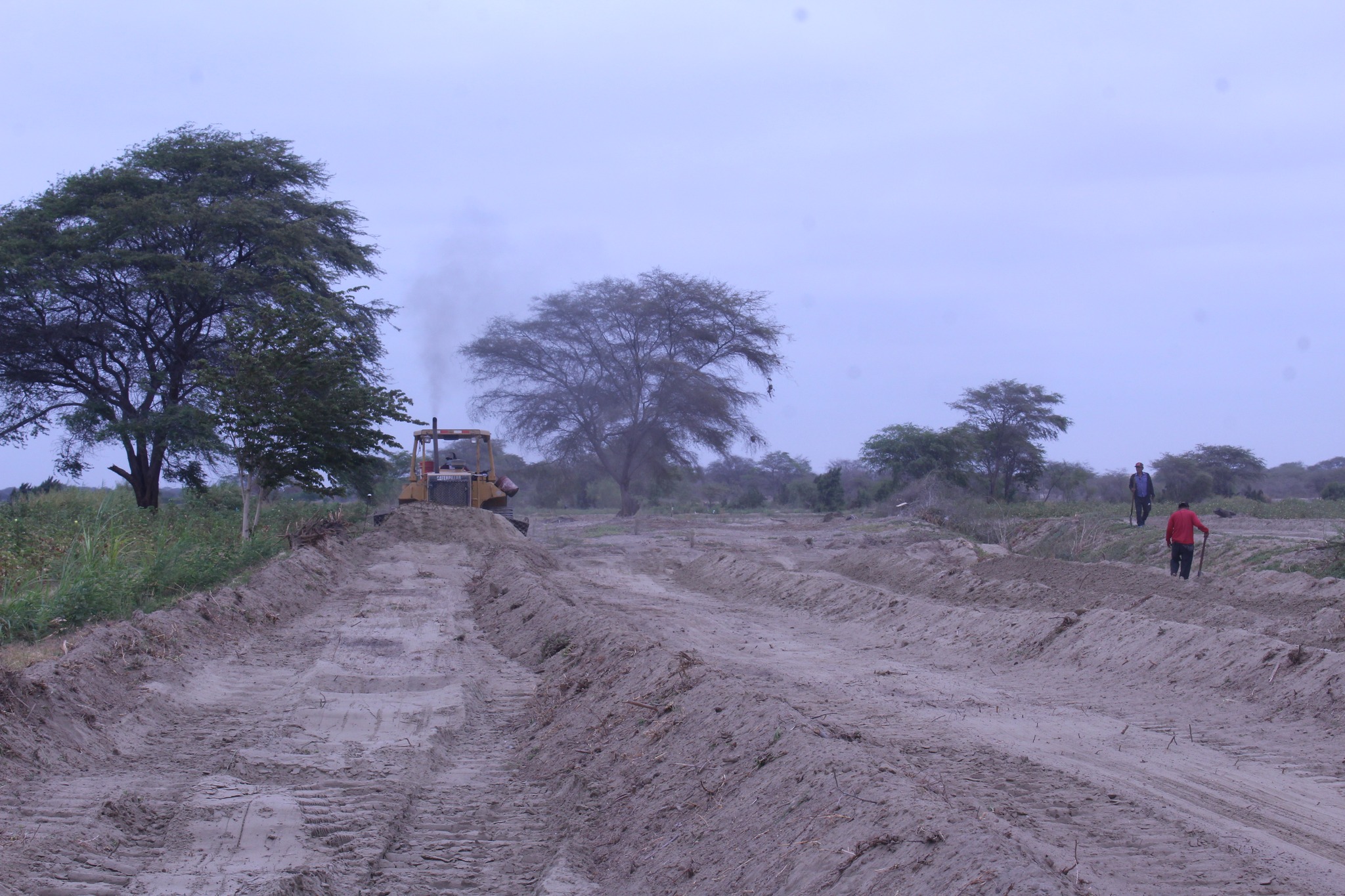 Maquinaria Realiza Trabajos en Terreno Agrícola