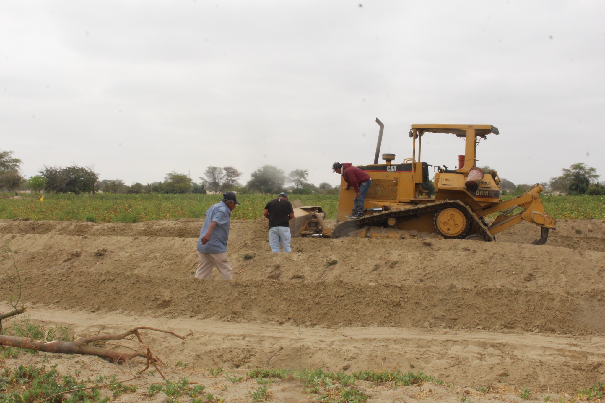 Maquinaria Realiza Trabajos en Terreno Agrícola