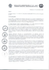 Vista preliminar de documento RAA_017_2022.pdf.pdf