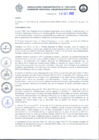 Vista preliminar de documento RAA_020_2022.pdf.pdf