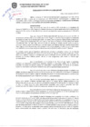 Vista preliminar de documento RGSP 39.pdf