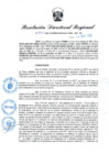 Vista preliminar de documento RDR N° 856-2022