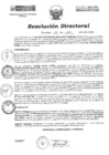 Vista preliminar de documento Resolución Directoral N°294-2022-GRU-DIRESAU-OEGYDRH