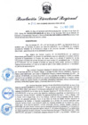 Vista preliminar de documento RDR N° 858-2022