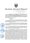 Vista preliminar de documento RDR N° 860-2022