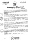Vista preliminar de documento Resolución Directoral N°301-2022-GRU-DIRESAU-OEGYDRH