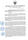 Vista preliminar de documento RDR N° 863-2022