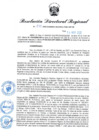 Vista preliminar de documento RDR N° 870-2022