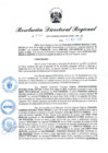 Vista preliminar de documento RDR N° 876-2022