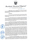 Vista preliminar de documento RDR N° 877-2022