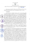 Vista preliminar de documento RES N°423-2022-GRDS