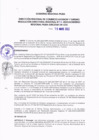 Vista preliminar de documento RESOLUCION DIRECTORAL 011.pdf