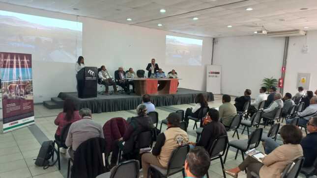 foro 1