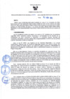 Vista preliminar de documento 355-11152022153857.pdf