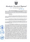 Vista preliminar de documento RDR N° 895-2022
