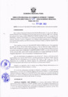Vista preliminar de documento RESOLUCION DIRECTORAL 028.pdf