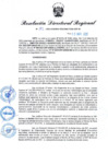 Vista preliminar de documento RDR N° 901-2022