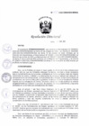 Vista preliminar de documento RD_1015_2022_CENARES.pdf
