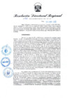 Vista preliminar de documento RDR N° 906-2022