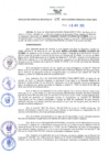 Vista preliminar de documento RES N°436-2022-GRDS