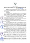 Vista preliminar de documento RES N°439-2022-GRDS