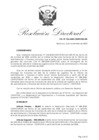 Vista preliminar de documento RDN-106-2020-CENFOTUR-DN
