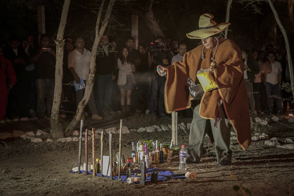 Ministerio de Cultura declara Patrimonio Cultural de la Nación a los conocimientos, saberes y usos tradicionales del cactus San Pedro