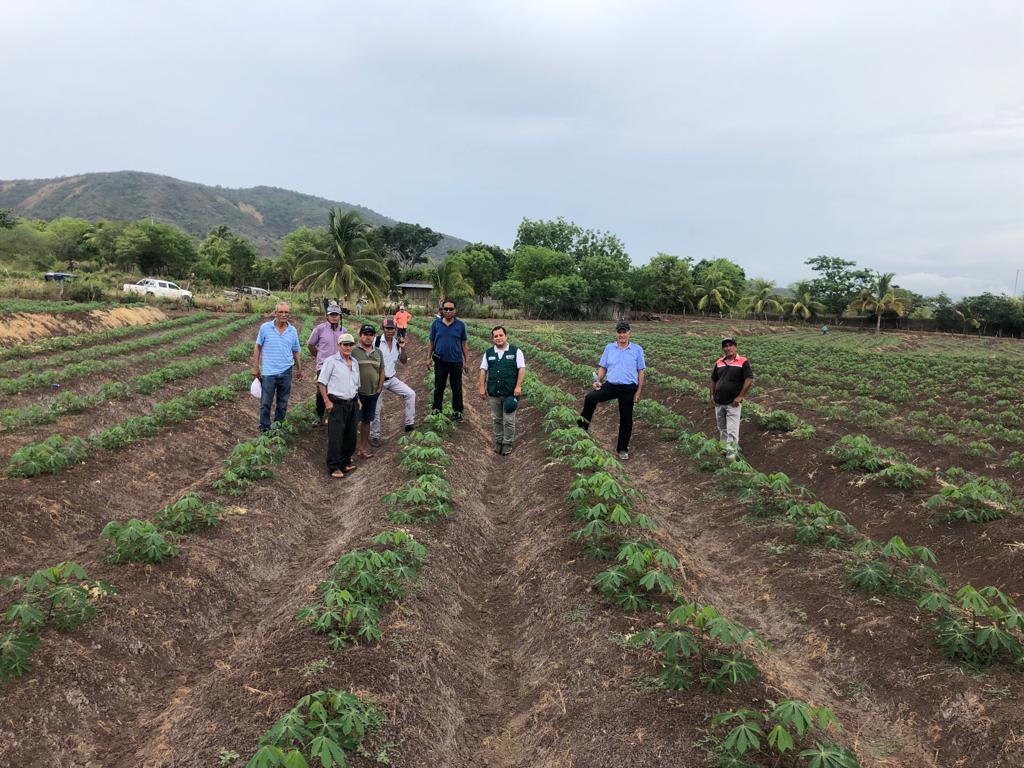 Visita de campo