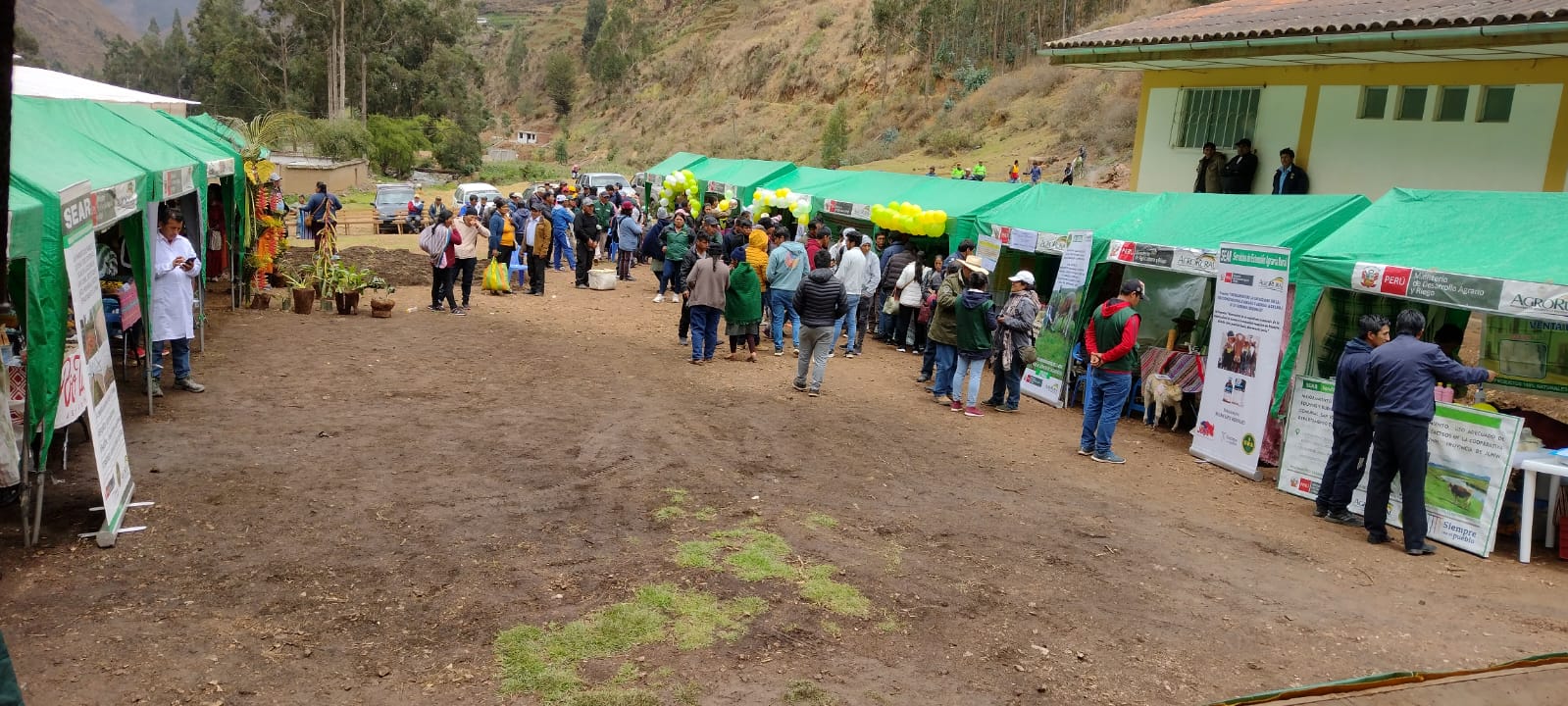 Junín.
