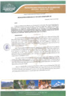 Vista preliminar de documento Resolución Gerencial N.º 105-2022-GIDUR-MPH-M