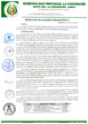 Vista preliminar de documento RA-293-2022-MPLC/A