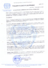 Vista preliminar de documento RESOLUCION-DE-ALCALDIA-N-196-2009-MDCA