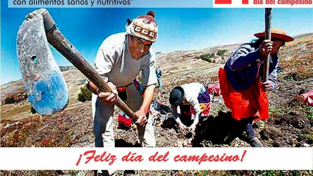 Foto de la Reunion