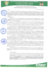 Vista preliminar de documento rgm 291.pdf