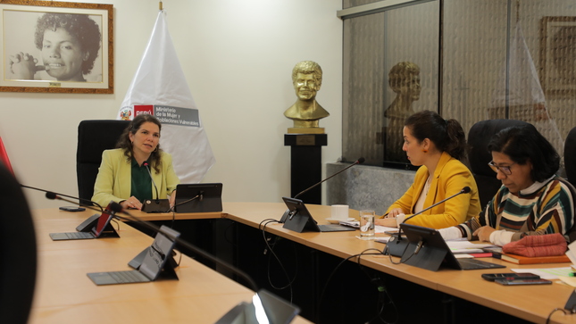 Comisión Nacional de Alto Nivel para la Igualdad de Género