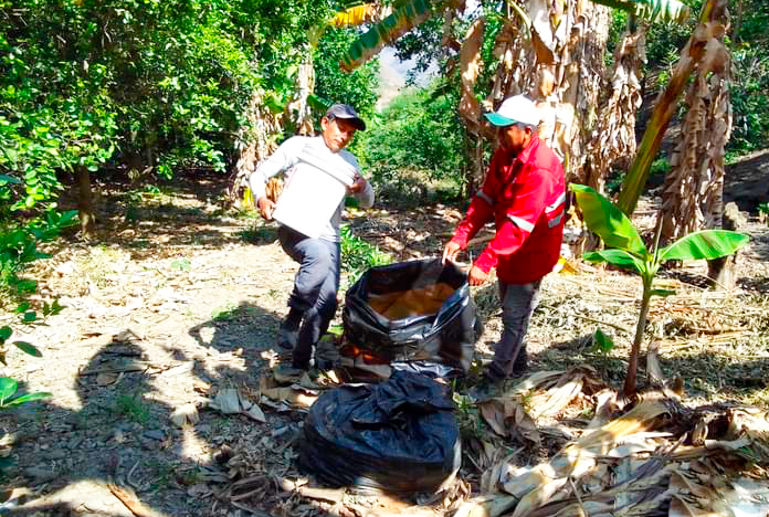 Conforman Comité de Sanidad Agraria para la erradicación de mosca de la fruta en el VRAE
