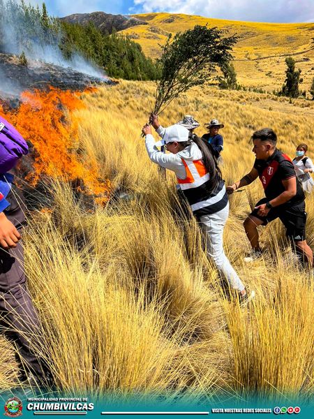 AUTORIDADES Y FUNCIONARIOS DE LA MUNICIPALIDAD PROVINCIAL DE CHUMBIVILCAS JUNTAMENTE CON NUESTROS HERMANOS DE LA COMUNIDAD PFULLPURI PUENTE CCOYO - USCAMARCA ACUDIERON A SOFOCAR UN NUEVO INCENDIO FORESTAL SUSCITADO EN EL SECTOR DE Q' UENQO
